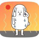 올삼 네이버블로그