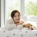 도그플러스 동물병원 이미지