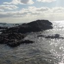 농업회사법인 건강드림(주) 이미지