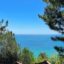 중문관광로 이미지