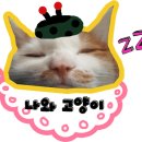 자장자장 이미지