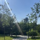 화랑공원 배드민턴장