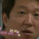 포켓불독 이미지