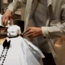 댕댕이미용실 이미지