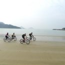 신안낙지천국