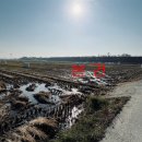 창신목장 이미지