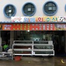 왕돌수산 이미지