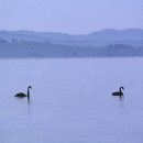 유영목장 이미지