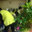 강서구종합사회복지관 이미지