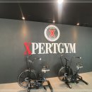 엑스퍼트짐 가산점 이미지