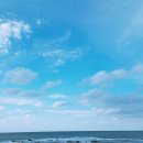 정우농장2 이미지