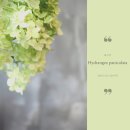 아이치 잡화점 이미지