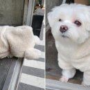 경태농장 이미지