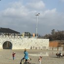 올레에반하다 | [제주 여행] 기대 이상이었던 더마파크 방문기! 역동적인 기마 공연에 반하다 🐎