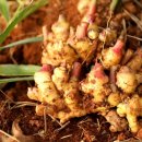 태안농장 이미지