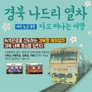 경북나드리열차 타고 경북여행 ♡ 경주, 포항, 구룡포, 산타마을, 프로방스, 와인터널 ♡ 산타열차, 바다열차, 불빛열차 경북 기차여행 추천해요. 이미지