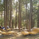 망운산 등산로 이미지