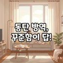 행복소독방역 | 동탄 방역소독 후기, 왜 정기방역관리가 위생관리에 중요한가요?