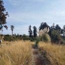 석진 농장 | 제주 파더스가든 동물농장 체험 및 인생컷 찍기 좋은 곳