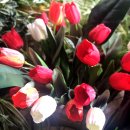 까페꽃향 이미지