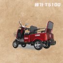 베가모터스 이미지