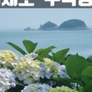 썬트리 트래블