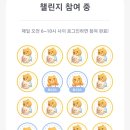 불난배꼽 이미지