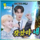 (주)태영여행사