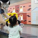 놀소프트 | 대전 아이와 가볼 만한 곳 : 체험공간 대전어린이회관 체험숲