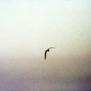 우리가정의원(2층) 이미지