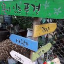 해성국제컨벤션고등학교 이미지