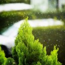 개포4-105 이미지