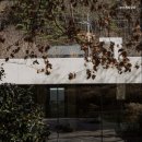 보스케토 삼동 이미지