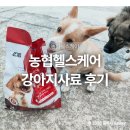 맘헬스케어 | 아기 강아지를 위한 개사료 농협헬스케어 강아지사료 후기