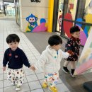 화현생활체육센터 2층 | 문센 유아체육/운양 트니트니 플러스 내돈내산 1년 후기