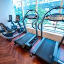 골든짐(GOLDEN GYM) 네이버블로그