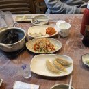 통통오징어