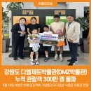 강원도디엠제트박물관 위클리오늘