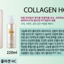 아벨로헤어 이미지