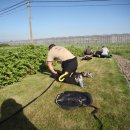 안인농장 이미지