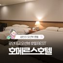 호텔 호메르스 | 부산 광안리 호메르스 호텔 후기, 오션뷰 객실에서 광안대교 직관 가능!