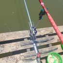 서진레포츠 이미지