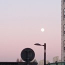 미스터홈즈부동산중개부천센터 | [공지] 46번째 매수신청대리 입찰후기 : 26.2. 3 (화) (인천지방법원 부천지원) - 본인인감증명서...