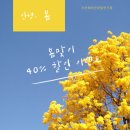 젤라헤어 이미지