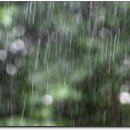 솔아한의원 이미지