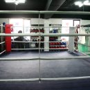 정진체육관 이미지