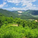 국사봉농장 이미지