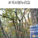 전월산 누리길 | 세종 여행/고운동 국사봉 트레킹 후기