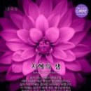 지혜 - 용산구 | 지혜