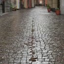 햇빛 찬란한 그 길 이미지